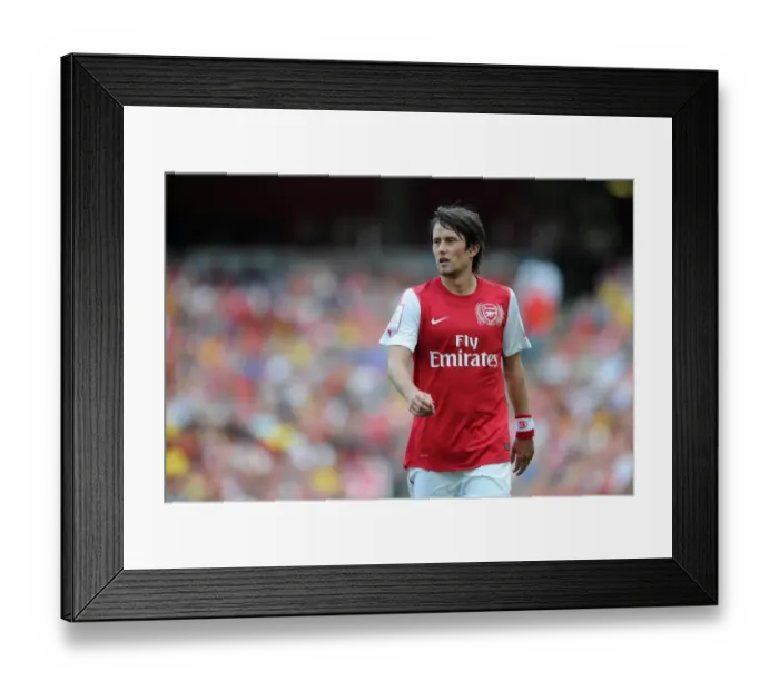 Framed Print : Tomas Rosicky (Arsenal). Arsenal 1: 1 New York Red Bulls. Emirates Cup Day 2 Framed Print : Tomas Rosicky (Arsenal). Arsenal 1: 1 New York Red Bulls. Emirates Cup Day 2