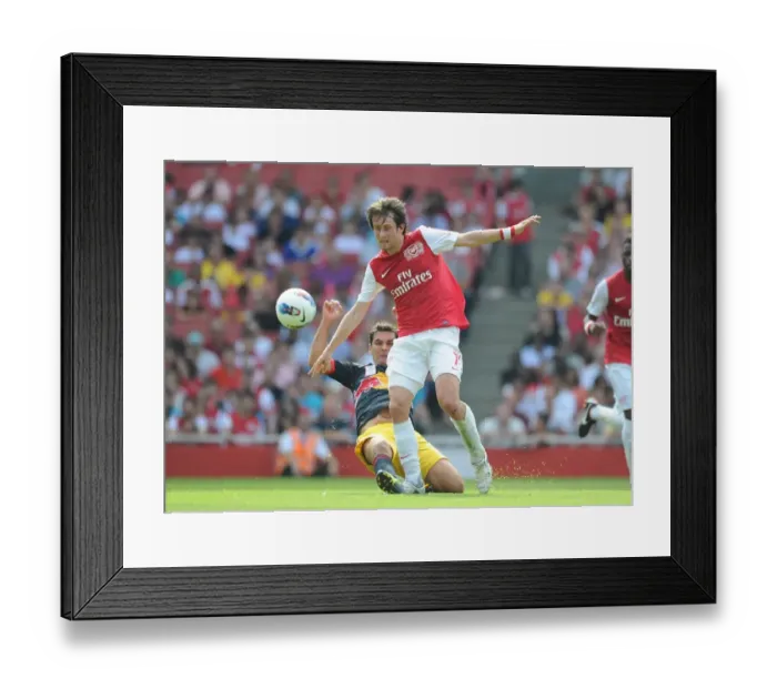 Framed Print : Arsenal's Rosicky Clashes with Marquez of New York Red Bulls during the Emirates Cup Match