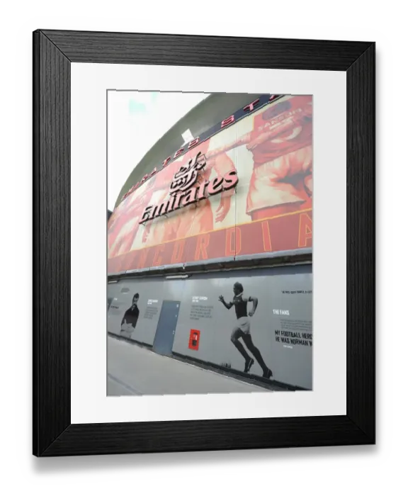 Framed Print : Arsenal's Emirates Cup Showdown: New York Red Bulls vs Paris Saint-Germain Framed Print : Arsenal's Emirates Cup Showdown: New York Red Bulls vs Paris Saint-Germain