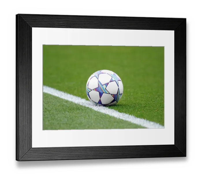 Framed Print : Champions League Ball. Arsenal 1: 0 Udinese. UEFA Champins League Qualifying Round, 1st leg Framed Print : Champions League Ball. Arsenal 1: 0 Udinese. UEFA Champins League Qualifying Round, 1st leg