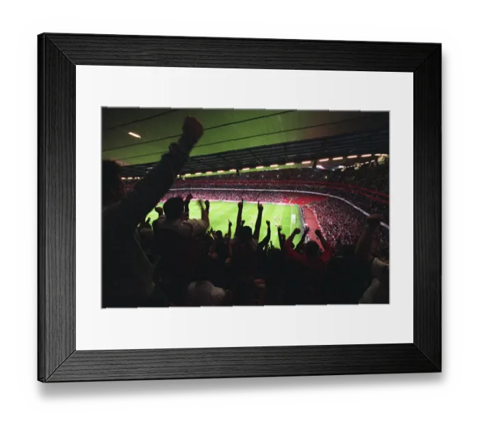 Framed Print : Emirates Stadium with fans cheering a goal Framed Print : Emirates Stadium with fans cheering a goal