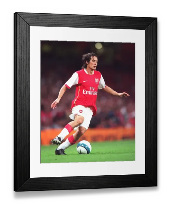Framed Print : Tomas Rosicky (Arsenal) Framed Print : Tomas Rosicky (Arsenal)