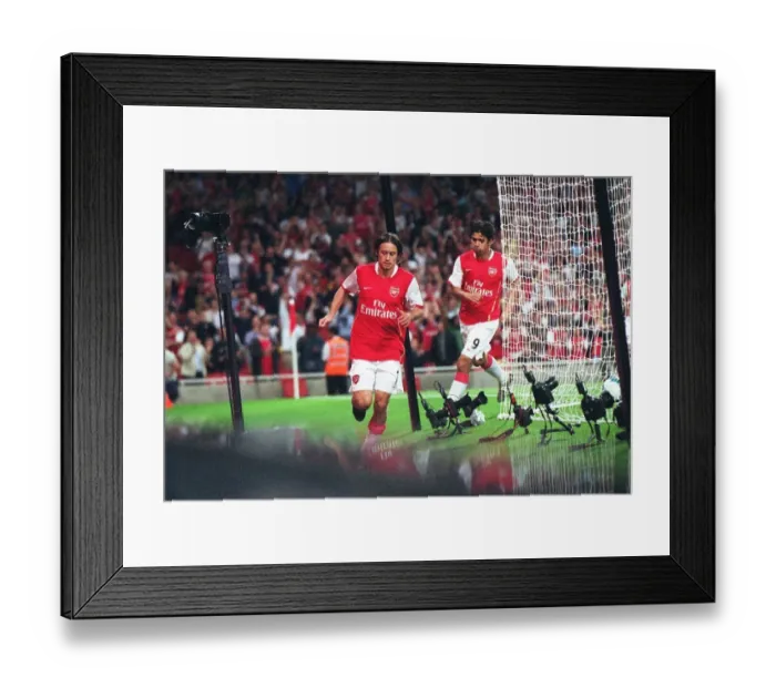 Framed Print : Tomas Rosicky and Eduardo Celebrate Arsenal's First Goal in Champions League Victory over Sparta Prague (3:0) Framed Print : Tomas Rosicky and Eduardo Celebrate Arsenal's First Goal in Champions League Victory over Sparta Prague (3:0)