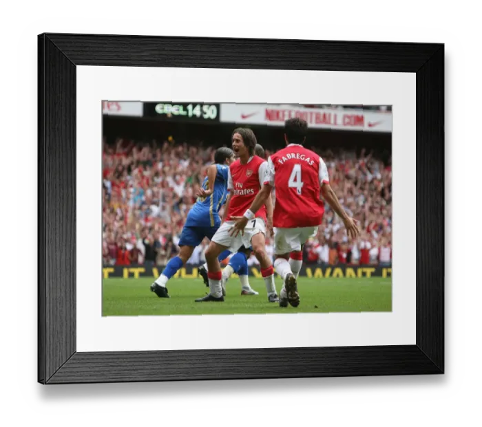 Framed Print : Tomas Rosicky's Triumph: Arsenal's Thrilling 3-1 Victory Over Portsmouth in the Premier League (2007) Framed Print : Tomas Rosicky's Triumph: Arsenal's Thrilling 3-1 Victory Over Portsmouth in the Premier League (2007)