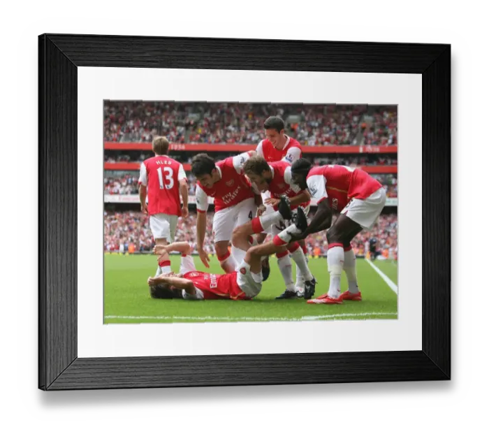Framed Print : Tomas Rosicky celebrates scoring Arsenals 3rd goal with Cesc Fabregas Framed Print : Tomas Rosicky celebrates scoring Arsenals 3rd goal with Cesc Fabregas