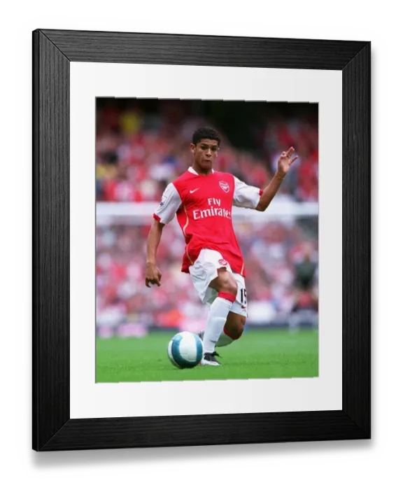 Framed Print : Denilson's Triumph: Arsenal's 3:1 Victory Over Portsmouth in the Barclays Premier League at Emirates Stadium (September 2, 2007) Framed Print : Denilson's Triumph: Arsenal's 3:1 Victory Over Portsmouth in the Barclays Premier League at Emirates Stadium (September 2, 2007)