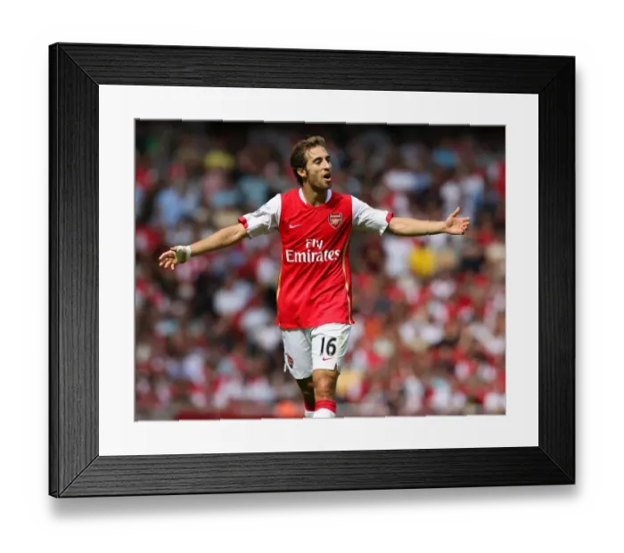 Framed Print : Arsenal's Triumph: Mathieu Flamini's Game-Winning Performance in Arsenal's 3-1 Victory Over Portsmouth (September 2, 2007) Framed Print : Arsenal's Triumph: Mathieu Flamini's Game-Winning Performance in Arsenal's 3-1 Victory Over Portsmouth (September 2, 2007)