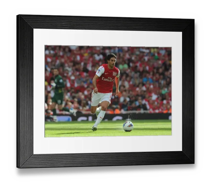 Framed Print : Mikel Arteta (Arsenal). Arsenal 1: 0 Swansea City. Barclays Premier League Framed Print : Mikel Arteta (Arsenal). Arsenal 1: 0 Swansea City. Barclays Premier League