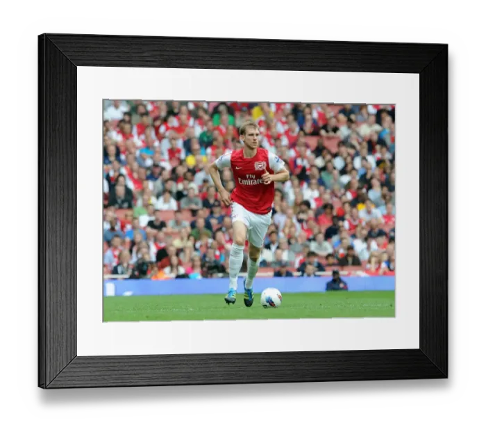 Framed Print : (Arsenal). Arsenal 3: 0 Bolton Wanderers. Barclays Premier League. Emirates Stadium, 24 / 9 / 11 Framed Print : (Arsenal). Arsenal 3: 0 Bolton Wanderers. Barclays Premier League. Emirates Stadium, 24 / 9 / 11