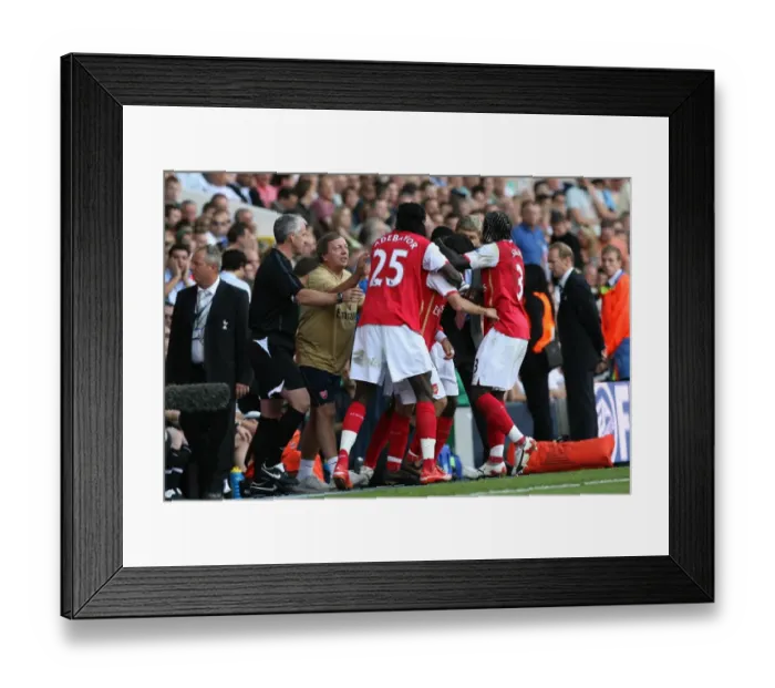Framed Print : The Arsenal players and staff celebrate the 2nd Arsenal goal, scored by Cesc Fabregas
