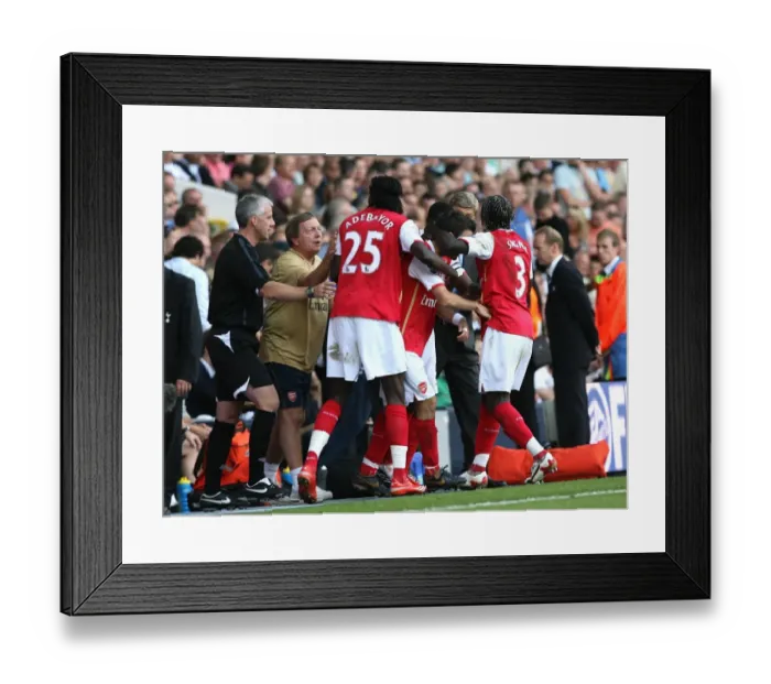 Framed Print : The Arsenal players and staff celebrate the 2nd Arsenal goal, scored by Cesc Fabregas Framed Print : The Arsenal players and staff celebrate the 2nd Arsenal goal, scored by Cesc Fabregas