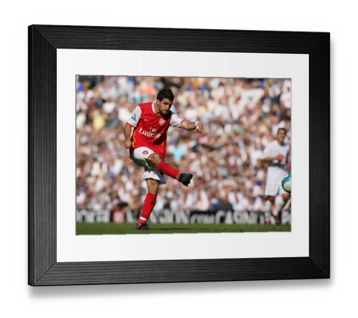 Framed Print : Cesc Fabregas Scores Stunner Past Paul Robinson: Arsenal Crushes Tottenham 3-1