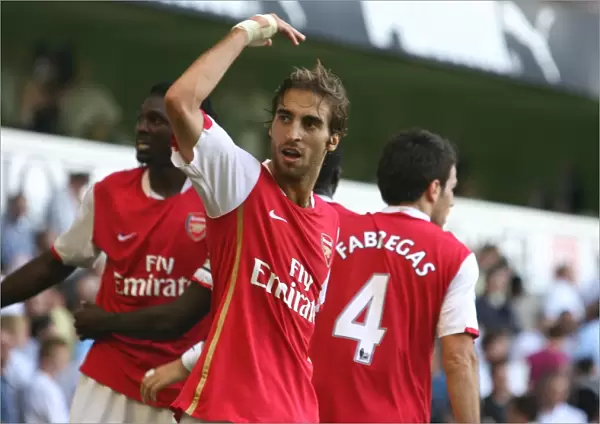 Mathieu Flamini celebrates the 3rd Arsenal goal