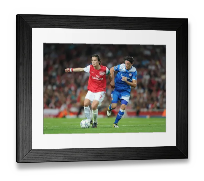 Framed Print : Tomas Rosicky (Arsenal) Ljubomir Fejsa (Olympiacos). Arsenal 2: 1 Olympiacos