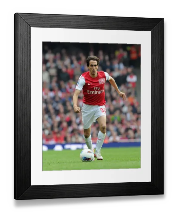 Framed Print : Arsenal's Yossi Benayoun Scores the Winner Against Sunderland in the Premier League, 16-10-11