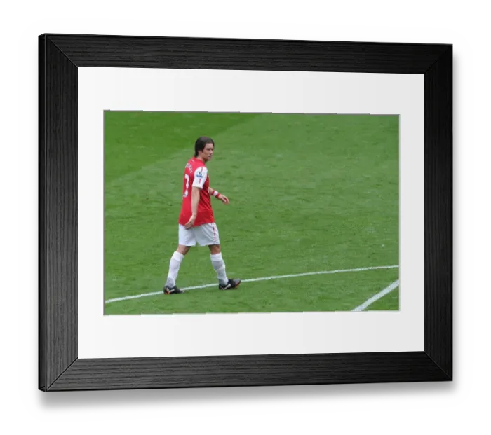 Framed Print : Tomas Rosicky (Arsenal). Arsenal 2: 1 Sunderland. Barclays Premier League Framed Print : Tomas Rosicky (Arsenal). Arsenal 2: 1 Sunderland. Barclays Premier League