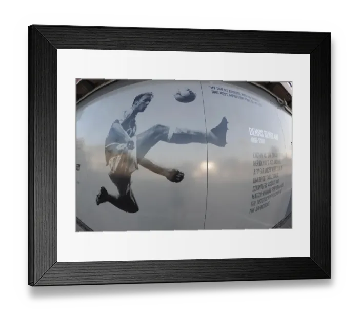 Framed Print : Dennis Bergkamp's Arsenalization: Arsenal vs Sunderland, Premier League 2011-12 Framed Print : Dennis Bergkamp's Arsenalization: Arsenal vs Sunderland, Premier League 2011-12