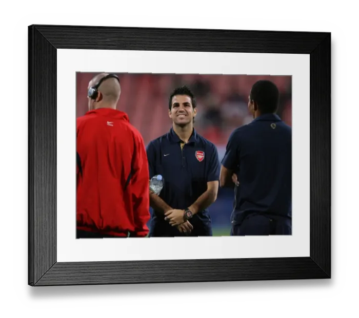 Framed Print : Cesc Fabregas Leads Arsenal to Victory: 1-0 Champions League Win over Steaua Bucharest