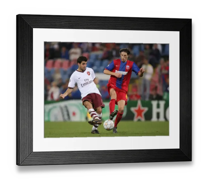 Framed Print : Cesc Fabregas Leads Arsenal to Victory over Steaua Bucharest in UEFA Champions League: 0-1 Framed Print : Cesc Fabregas Leads Arsenal to Victory over Steaua Bucharest in UEFA Champions League: 0-1