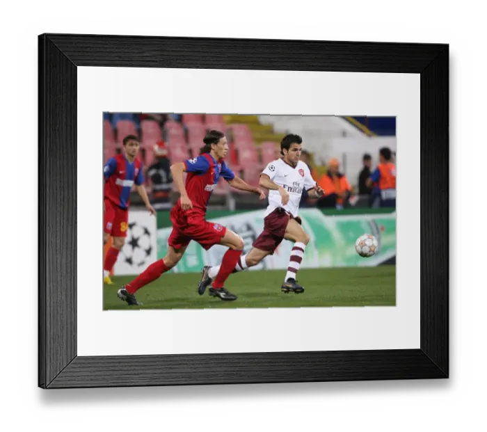 Framed Print : Cesc Fabregas Leads Arsenal to UEFA Champions League Victory over Steaua Bucharest: 0-1 Framed Print : Cesc Fabregas Leads Arsenal to UEFA Champions League Victory over Steaua Bucharest: 0-1