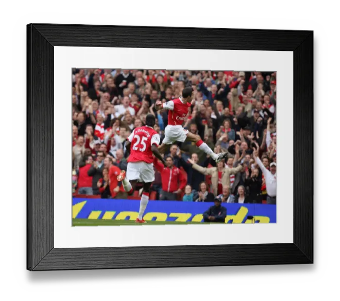 Framed Print : Robin van Persie's Historic Debut Goal: Arsenal 3-2 Sunderland, Premier League 2007 Framed Print : Robin van Persie's Historic Debut Goal: Arsenal 3-2 Sunderland, Premier League 2007