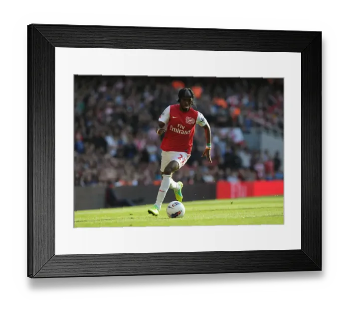 Framed Print : Arsenal Triumph Over Stoke City: Gervinho's Brilliant Performance in the Emirates Stadium, Premier League Match (3-1) Framed Print : Arsenal Triumph Over Stoke City: Gervinho's Brilliant Performance in the Emirates Stadium, Premier League Match (3-1)