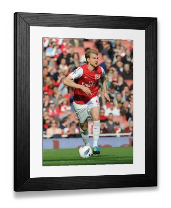 Framed Print : Arsenal's Per Mertesacker Scores in 3-1 Victory over Stoke City in the Premier League (2011) Framed Print : Arsenal's Per Mertesacker Scores in 3-1 Victory over Stoke City in the Premier League (2011)