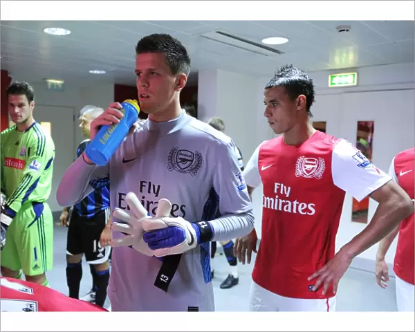 Wojciech Szczesny and Marouane Chamakh (Arsenal). Arsenal 3: 1 Stoke City
