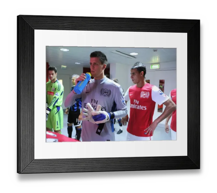 Framed Print : Wojciech Szczesny and Marouane Chamakh (Arsenal). Arsenal 3: 1 Stoke City
