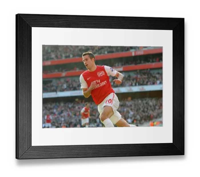 Framed Print : Robin van Persie celebrates scoring Arsenals 2nd goal his 1st. Arsenal 3: 1 Stoke City