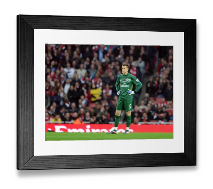 Framed Print : Wojciech Szczesny (Arsenal). Arsenal 3: 0 West Bromwich Albion. Barclays Premier League