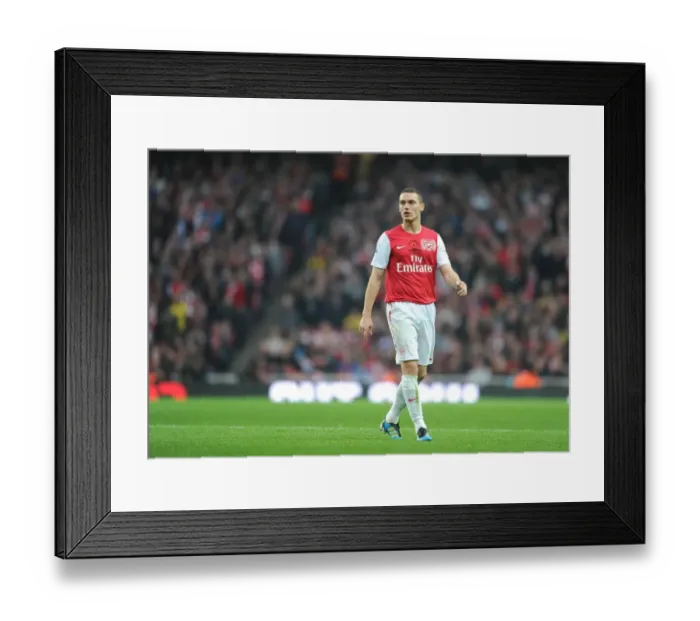 Framed Print : Thomas Vermaelen (Arsenal). Arsenal 3: 0 West Bromwich Albion. Barclays Premier League Framed Print : Thomas Vermaelen (Arsenal). Arsenal 3: 0 West Bromwich Albion. Barclays Premier League