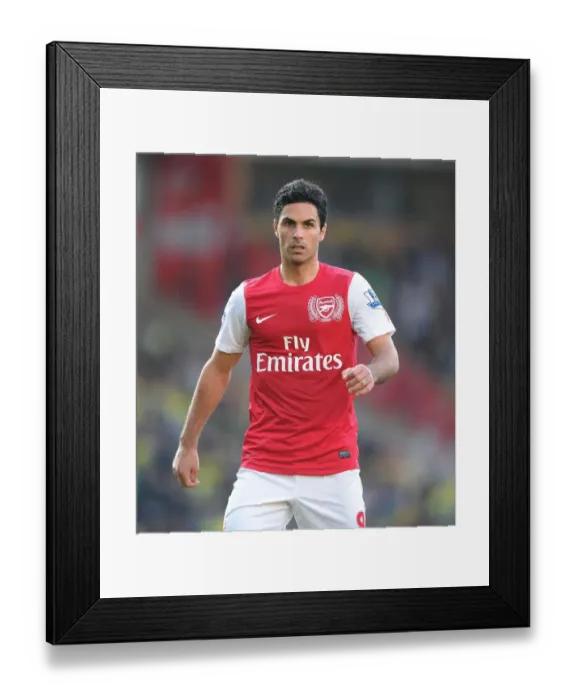 Framed Print : Mikel Arteta Leads Arsenal Against Norwich City, 2011-12 Premier League Framed Print : Mikel Arteta Leads Arsenal Against Norwich City, 2011-12 Premier League