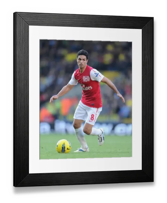 Framed Print : Mikel Arteta Leads Arsenal in the 2011-12 Premier League Clash Against Norwich City Framed Print : Mikel Arteta Leads Arsenal in the 2011-12 Premier League Clash Against Norwich City