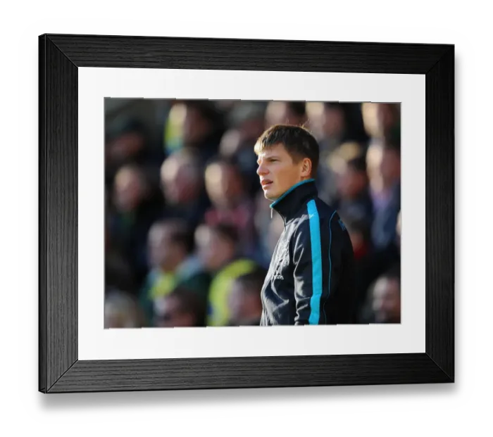 Framed Print : Andrey Arshavin (Arsenal). Norwcih City v Arsenal. Barclays Premier League