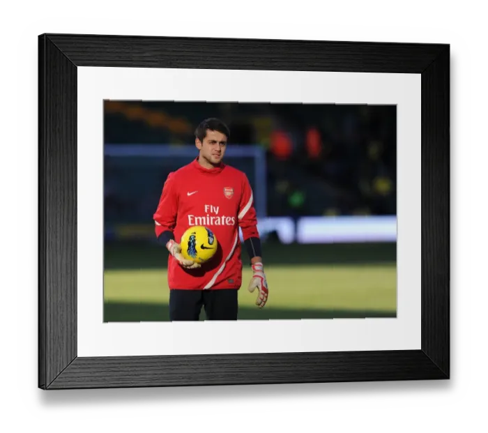 Framed Print : Arsenal's Lukasz Fabianski in Action Against Norwich City, Premier League 2011-12