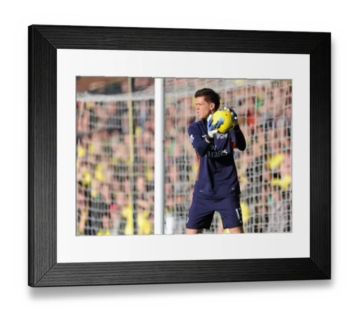Framed Print : Wojciech Szczesny (Arsenal). Norwich City v Arsenal. Barclays Premier League Framed Print : Wojciech Szczesny (Arsenal). Norwich City v Arsenal. Barclays Premier League