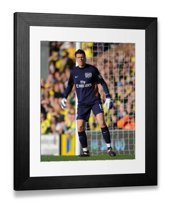 Framed Print : Arsenal's Szczesny Shines in Norwich City Showdown - Premier League, 19 / 11 / 11