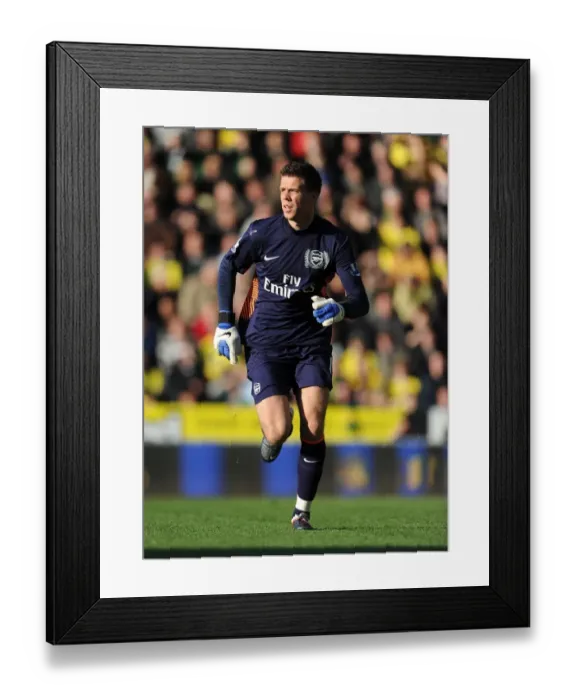 Framed Print : Arsenal's Szczesny Shines in Norwich Victory: Premier League 2011-12 Framed Print : Arsenal's Szczesny Shines in Norwich Victory: Premier League 2011-12