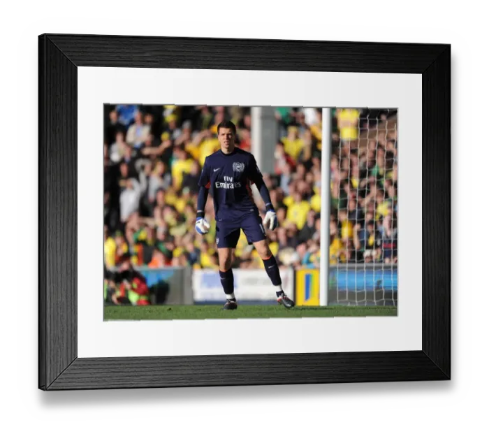Framed Print : Szczesny's Shining Performance: Arsenal Triumphs Over Norwich in Premier League 2011-12