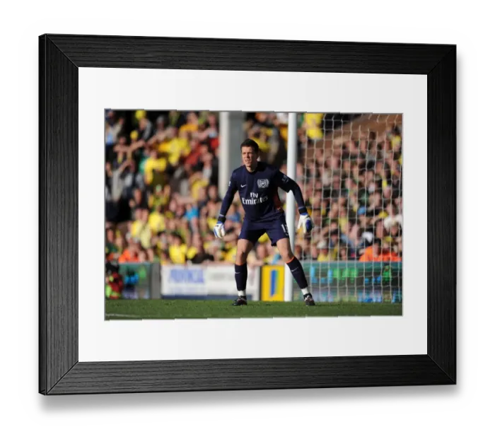 Framed Print : Arsenal's Szczesny Saves the Day: Thrilling Norwich Showdown, Premier League 2011 / 12 Framed Print : Arsenal's Szczesny Saves the Day: Thrilling Norwich Showdown, Premier League 2011 / 12