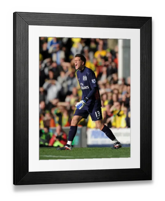 Framed Print : Arsenal's Szczesny in Action: Norwich City vs Arsenal, Premier League 2011-12