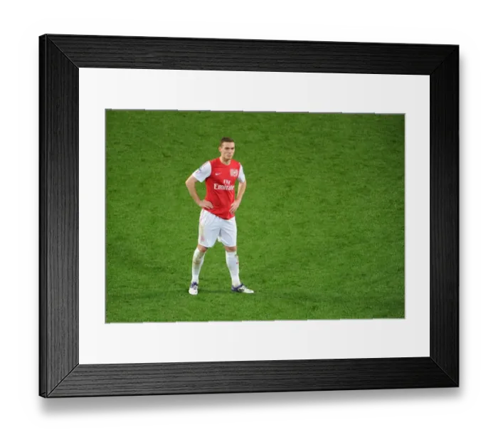 Framed Print : Thomas Vermaelen Focuses in Arsenal's Clash Against Wolverhampton Wanderers (2011-2012)