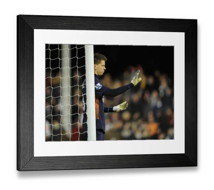 Framed Print : Wojciech Szczesny (Arsenal). Fulham 2: 1 Arsenal. Barclays Premier League