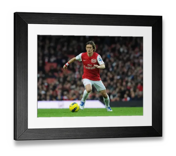 Framed Print : Tomas Rosicky: Unstoppable Force Against Wolverhampton Wanderers, Arsenal's Premier League Victory (December 2011) Framed Print : Tomas Rosicky: Unstoppable Force Against Wolverhampton Wanderers, Arsenal's Premier League Victory (December 2011)