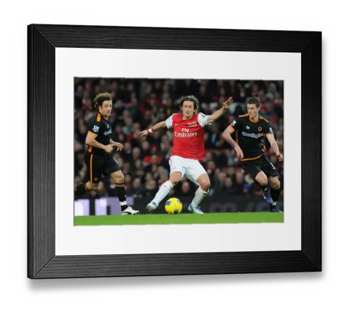 Framed Print : Arsenal's Rosicky Clashes with Hunt and Forde of Wolverhampton Wanderers Framed Print : Arsenal's Rosicky Clashes with Hunt and Forde of Wolverhampton Wanderers