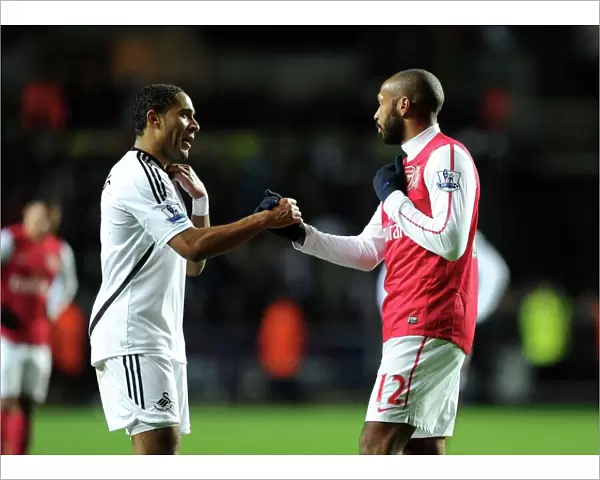 Thierry Henry and Ashley Williams: A Sportsman's Gesture - Swansea City vs Arsenal, 2012