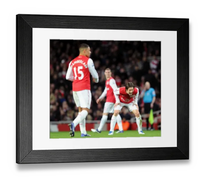 Framed Print : Arsenal's Tomas Rosicky Fights for Victory Against Manchester United (2011-12) Framed Print : Arsenal's Tomas Rosicky Fights for Victory Against Manchester United (2011-12)