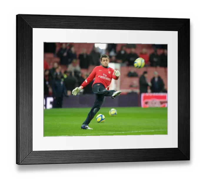 Framed Print : Lukasz Fabianski (Arsenal). Arsenal 3: 2 Aston Villa. FA Cup 4th Round. Emirates Stadium, 29 / 1 / 12 Framed Print : Lukasz Fabianski (Arsenal). Arsenal 3: 2 Aston Villa. FA Cup 4th Round. Emirates Stadium, 29 / 1 / 12