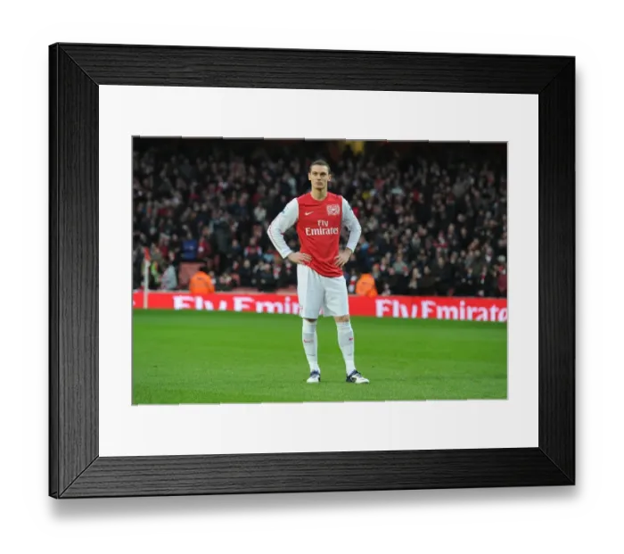 Framed Print : Thomas Vermaelen Focuses in Arsenal's FA Cup Clash Against Aston Villa Framed Print : Thomas Vermaelen Focuses in Arsenal's FA Cup Clash Against Aston Villa